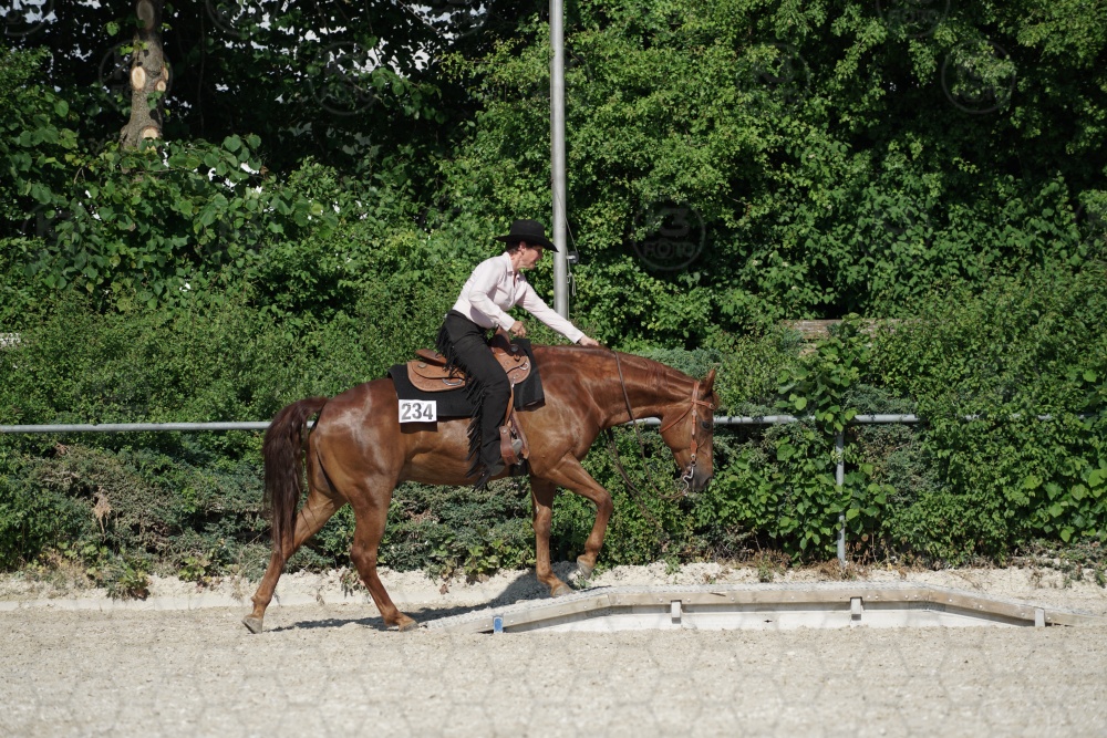 s_APF06735.jpg
